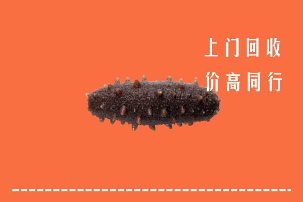高价求购：博尔塔拉回收海参