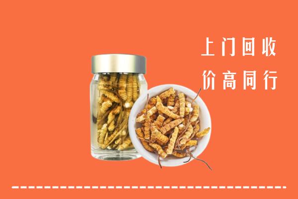 博尔塔拉回收冬虫夏草