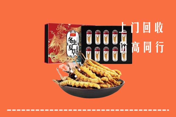 博尔塔拉回收虫草